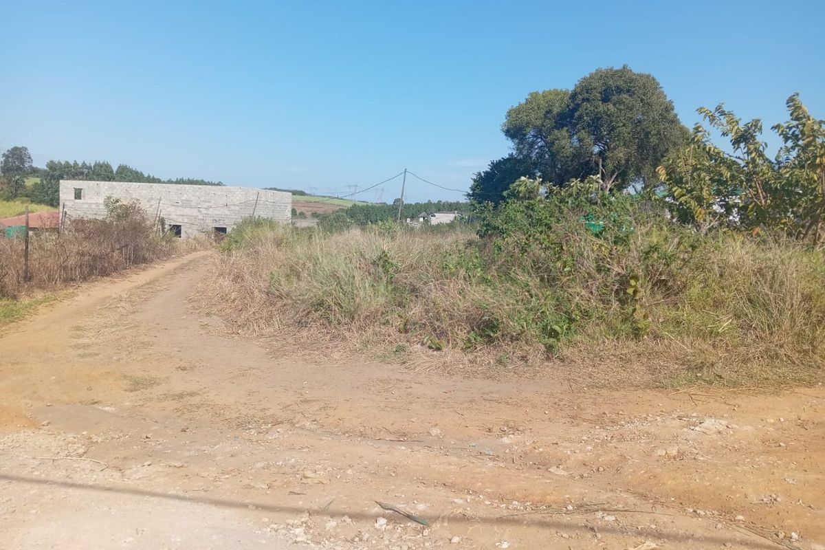 A view of an undeveloped residential plot featuring natural vegetation, mature trees, and an unpaved access road.