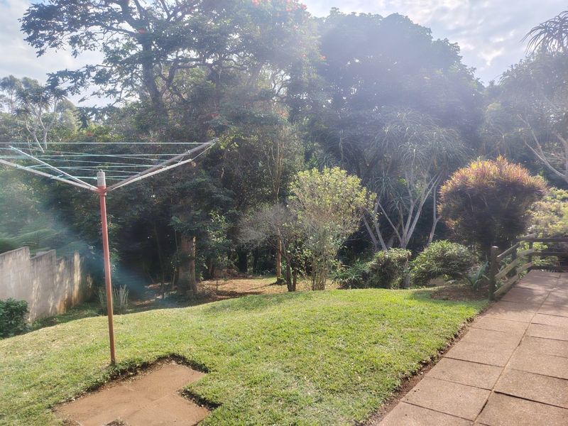 A spacious backyard garden featuring a paved walkway, established trees, and a rotary clothesline set against a natural, leafy backdrop.