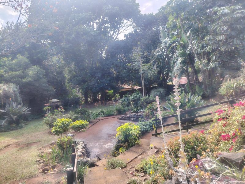 A lush, mature garden featuring stone pathways, timber fencing, and established trees, providing a serene and private outdoor setting.