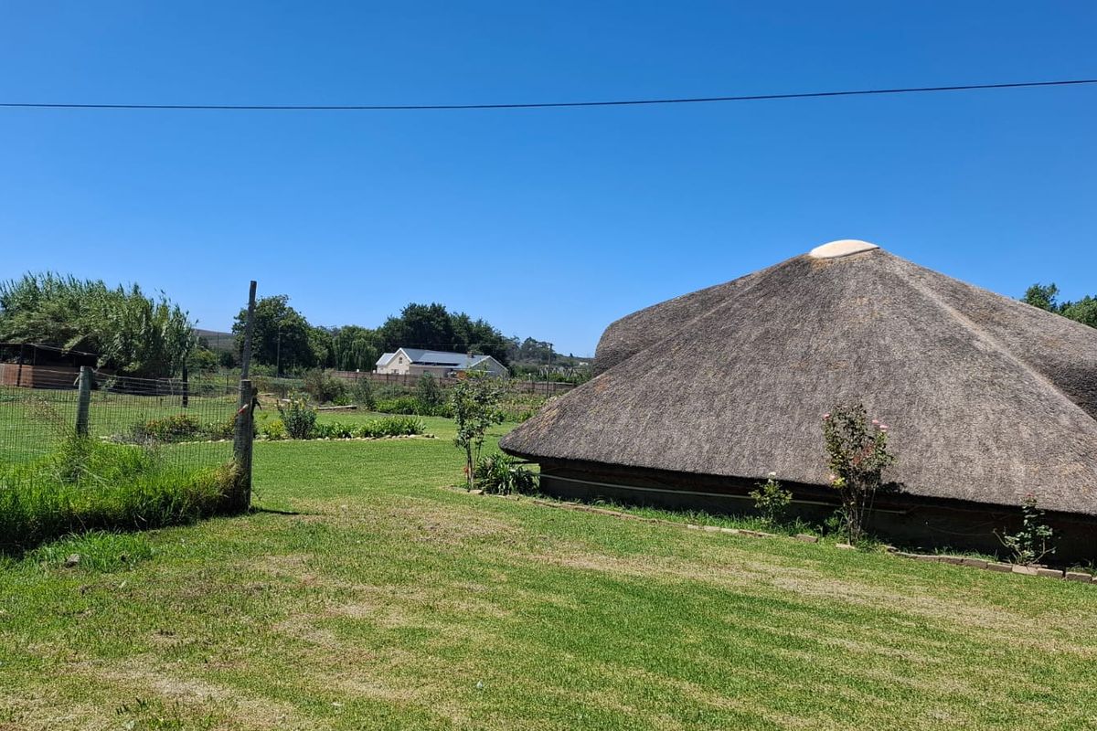 A view of the rear garden featuring a traditional thatch roof structure and established lawn area.