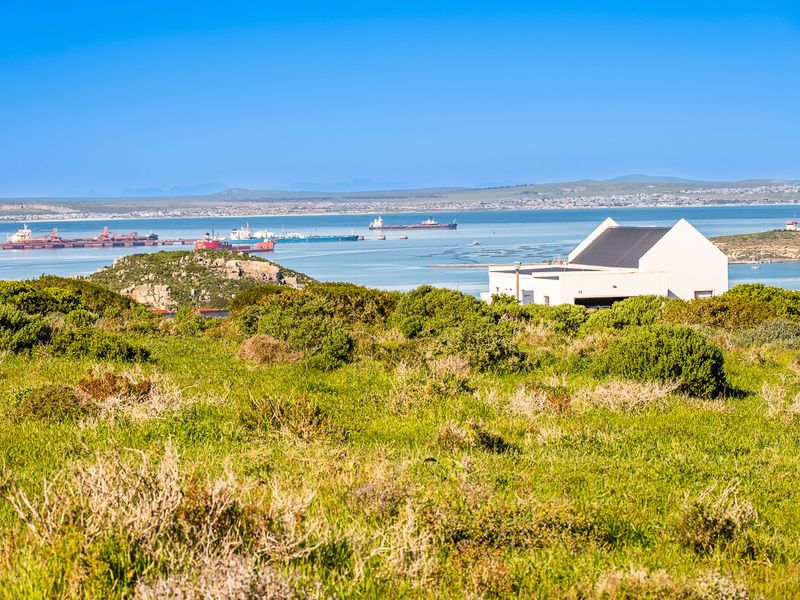 A scenic elevated view overlooking the coastal bay, surrounding natural vegetation, and distant harbor infrastructure.
