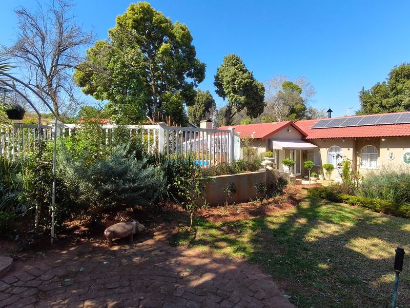 Charming Krugersdorp Home with Lush Garden and Pool - Photo 1
