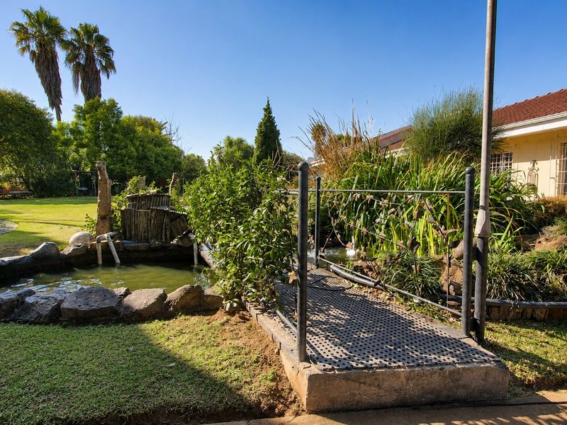 A landscaped garden featuring an ornamental pond with stone edging and a small metal footbridge, set against a residential property exterior.