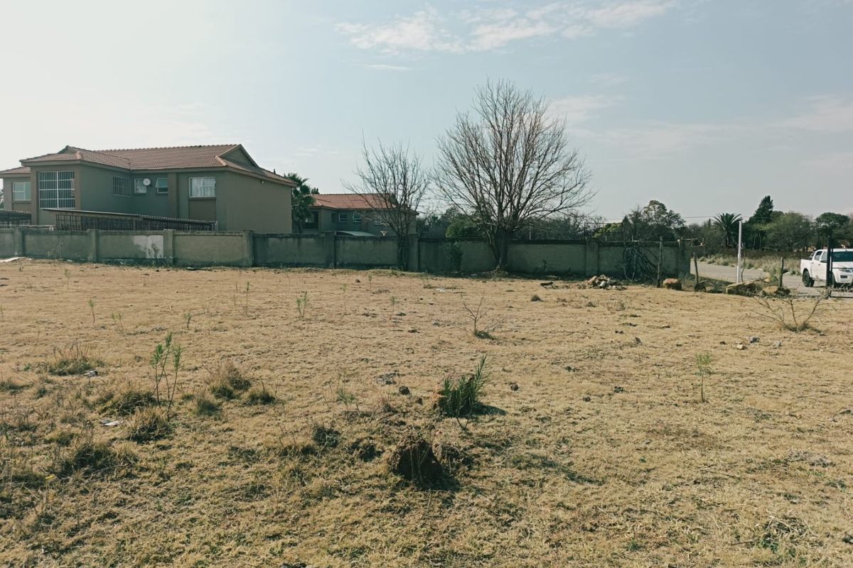 A vacant residential plot featuring dry grass, mature trees, and a perimeter boundary wall in a suburban setting.