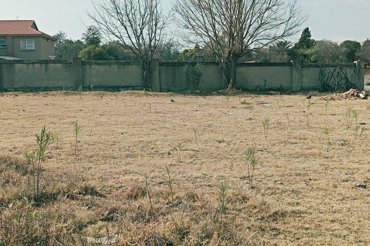 A vacant residential plot featuring a perimeter boundary wall and mature trees, offering a blank canvas for future development.
