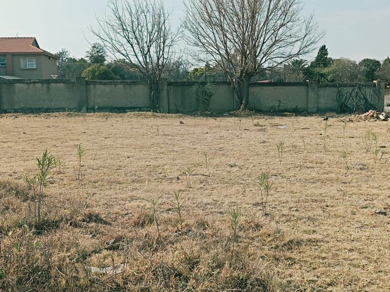 Bargain Opportunity! Prime Vacant Land for Sale in Wilkeville - Photo 4
