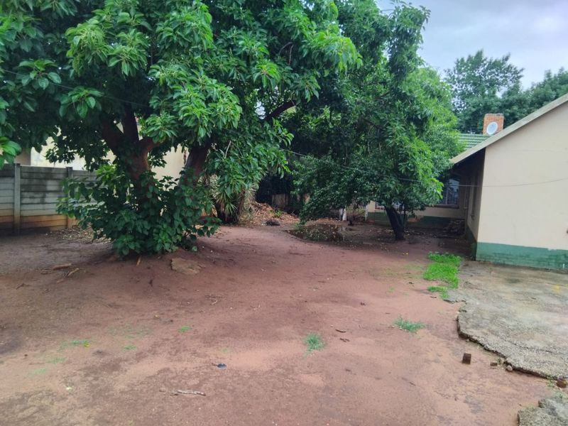Rear garden area featuring mature trees, a concrete boundary wall, and a weathered concrete apron adjacent to the house structure.