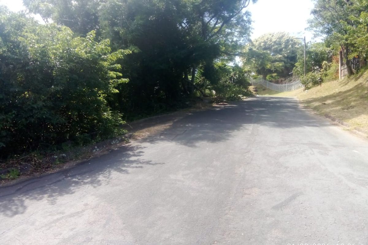 A view of the residential street approach featuring asphalt paving, mature trees, and perimeter fencing.