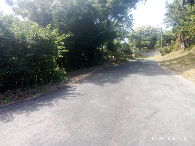 Prime Vacant Land - Photo 2