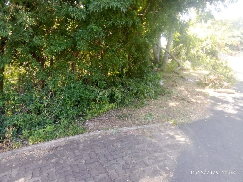Prime Vacant Land - Photo 4