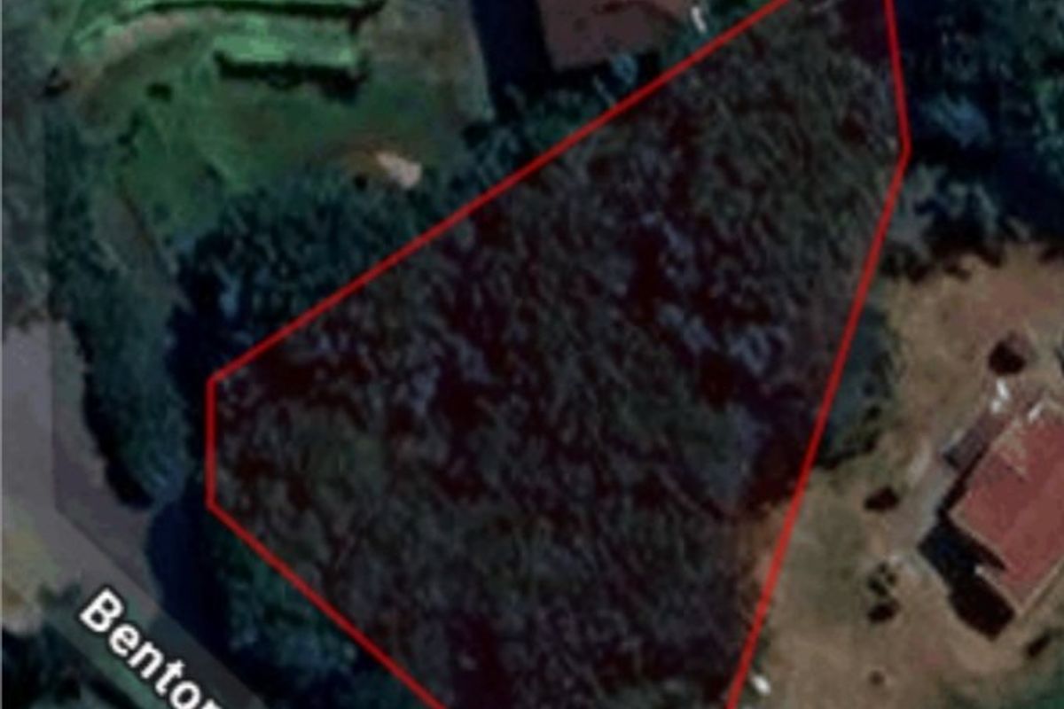 Aerial view of a vacant residential plot outlined in red, situated along Benton Place with established vegetation.