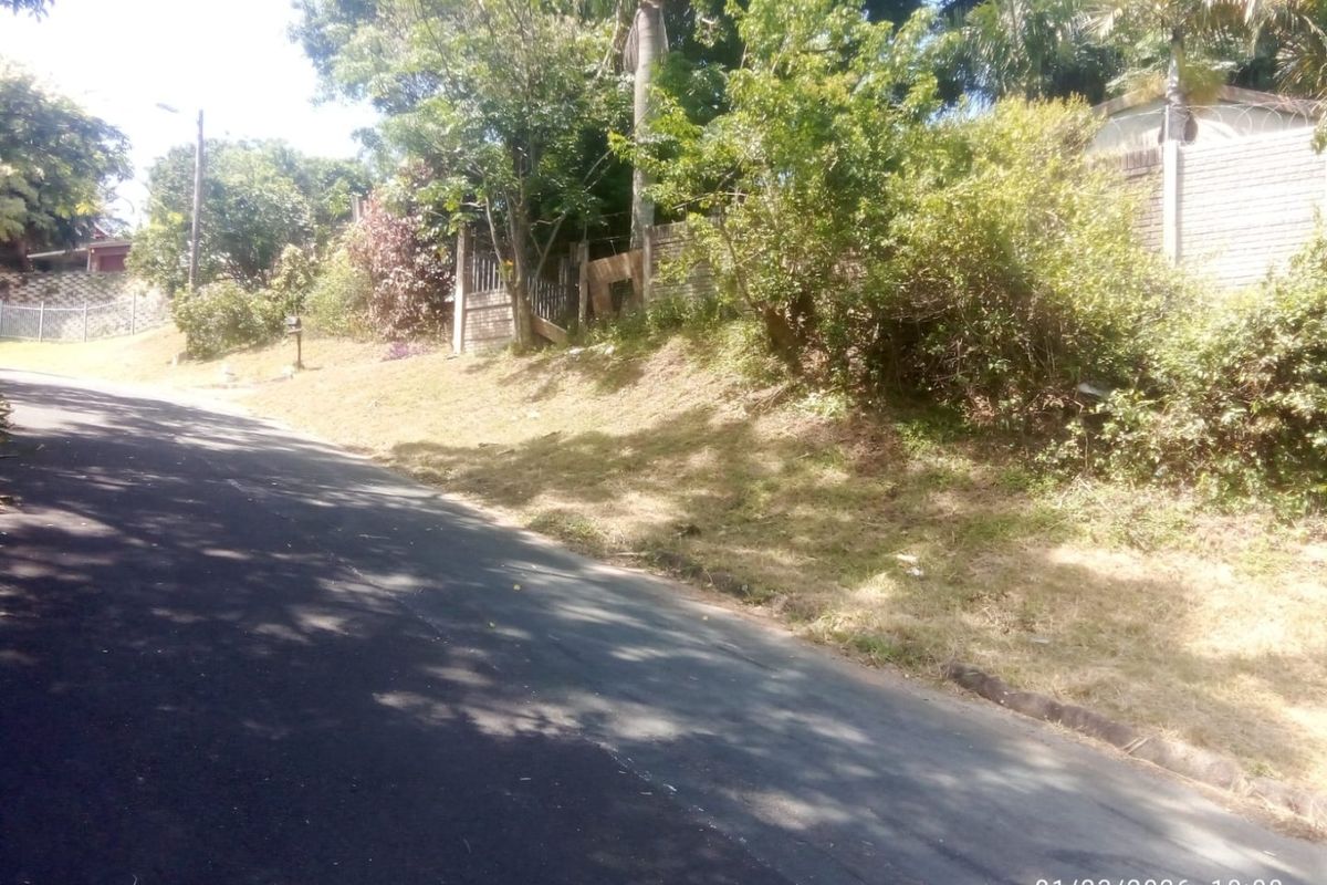 A street-level view of the residential property frontage, featuring an asphalt road, established trees, and a brick boundary wall with security fencing.