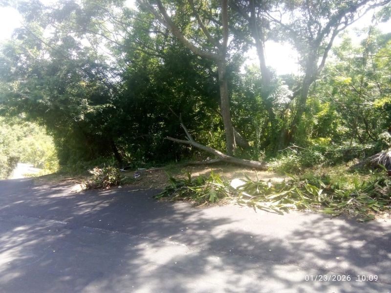 Prime Vacant Land - Photo 10