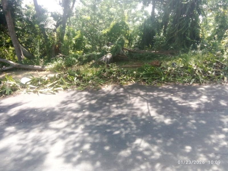 Prime Vacant Land - Photo 9