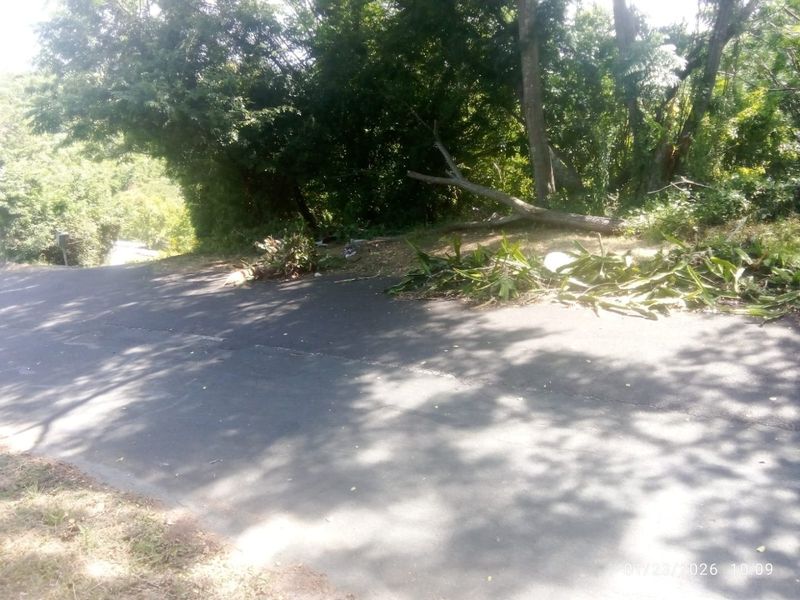 Prime Vacant Land - Photo 8