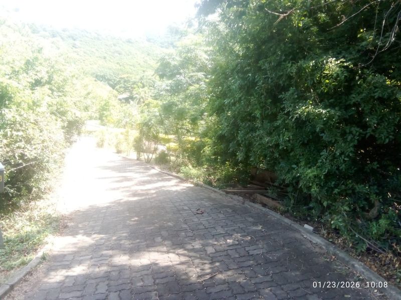 Prime Vacant Land - Photo 6