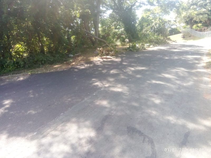 Prime Vacant Land - Photo 5