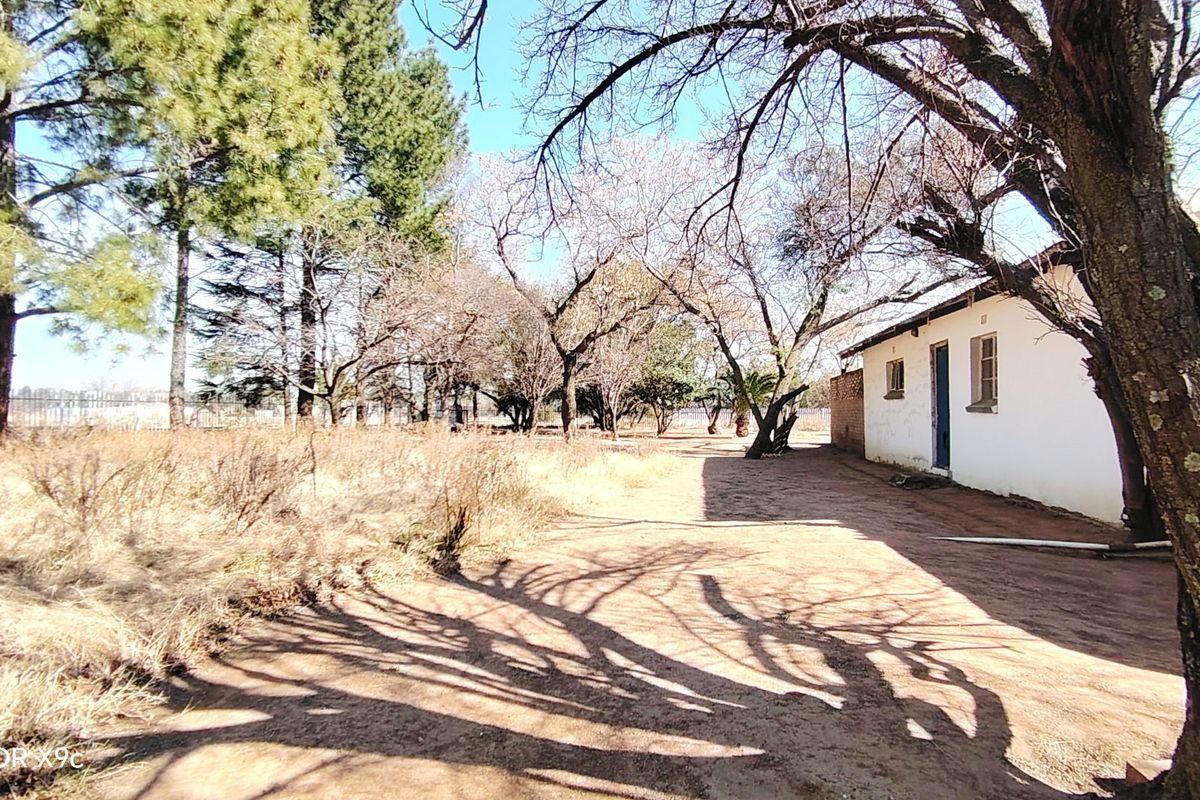 Rear view of the farm property showing the exterior wall and surrounding unmaintained garden area with mature trees.