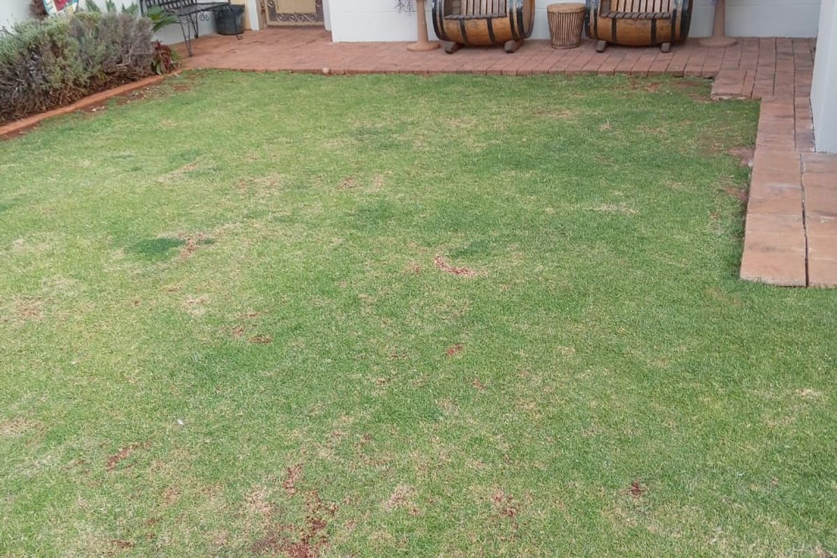 A rear garden area featuring a brick-paved patio, a lawn, and access to the home via a metal security gate and aluminium window.