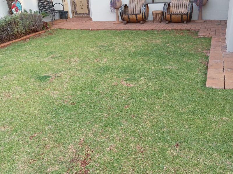 A rear garden area featuring a brick-paved patio, a lawn, and access to the home via a metal security gate and aluminium window.