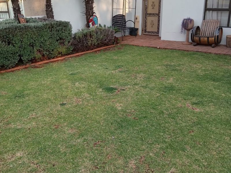 A private garden area featuring a small brick-paved patio, established palm trees, and a lawn area adjacent to the main house structure.