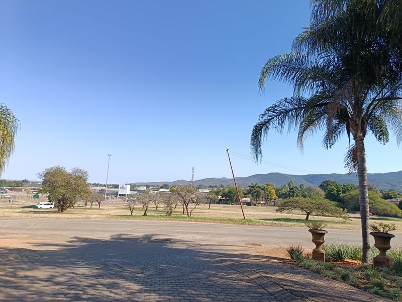 A scenic view overlooking an open landscape with distant mountains, featuring a paved driveway and established palm trees in the foreground.