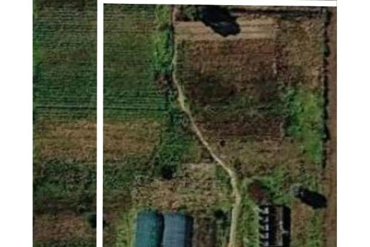 Aerial view of a large agricultural farm plot featuring cultivated land, greenhouses, and existing outbuildings with marked boundary dimensions.