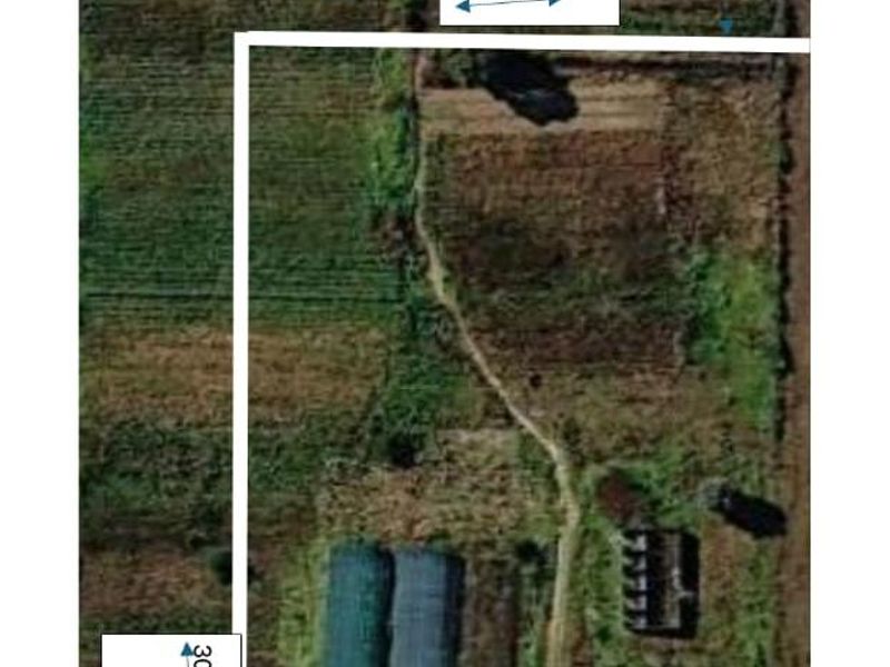 Aerial view of a large agricultural farm plot featuring cultivated land, greenhouses, and existing outbuildings with marked boundary dimensions.