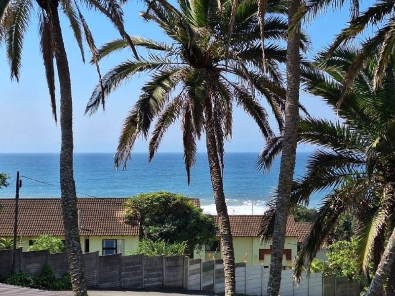 A scenic view overlooking the ocean, framed by mature palm trees and neighboring residential properties.