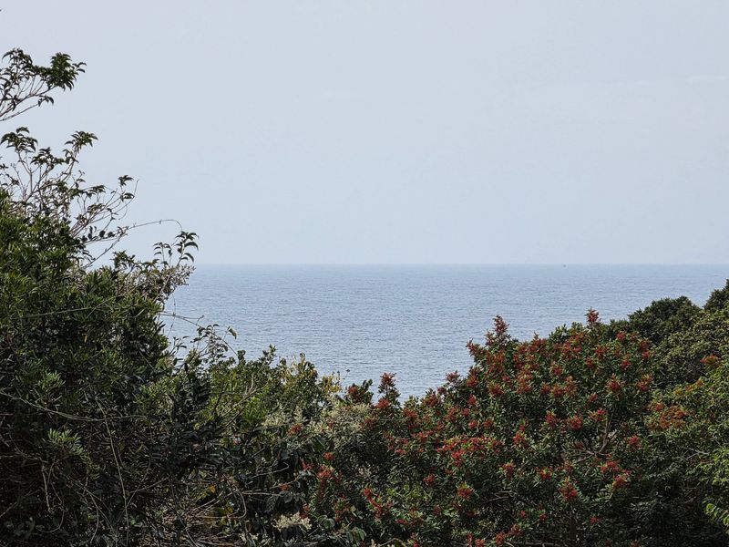 Two Dwellings On One Property With Sea Views - Photo 4