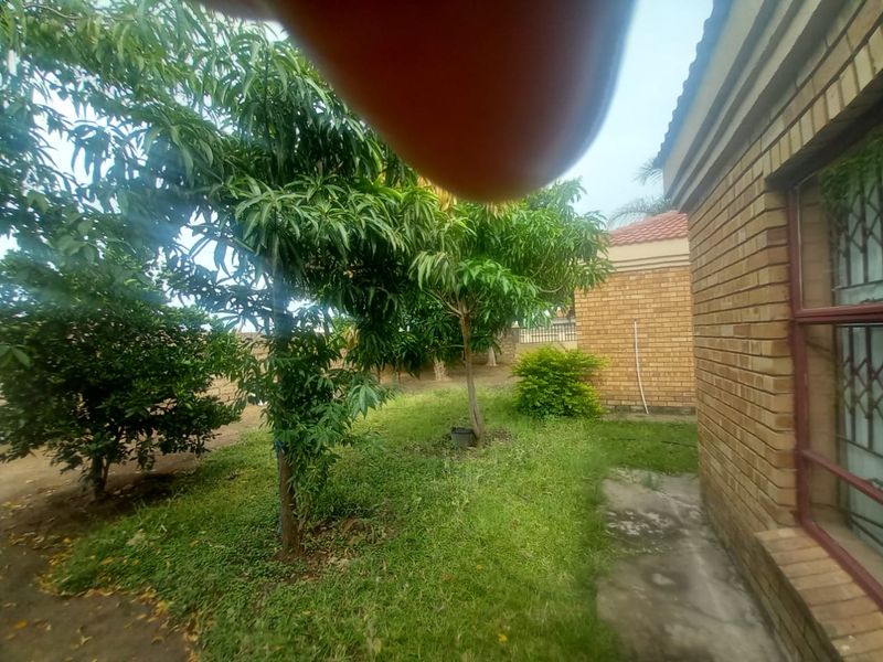 A view of the rear garden area featuring face brick exterior walls and established trees, requiring landscaping maintenance.