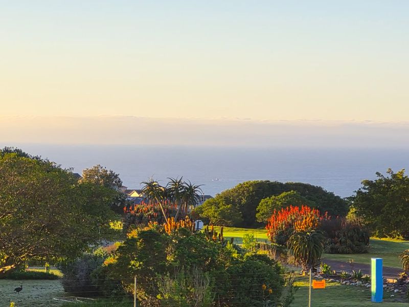 A scenic elevated view overlooking a lush garden with mature trees and shrubs, featuring a clear horizon line over the ocean.