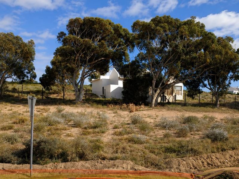 A view of a vacant residential plot featuring natural vegetation, mature trees, and perimeter fencing, viewed from the adjacent paved street.