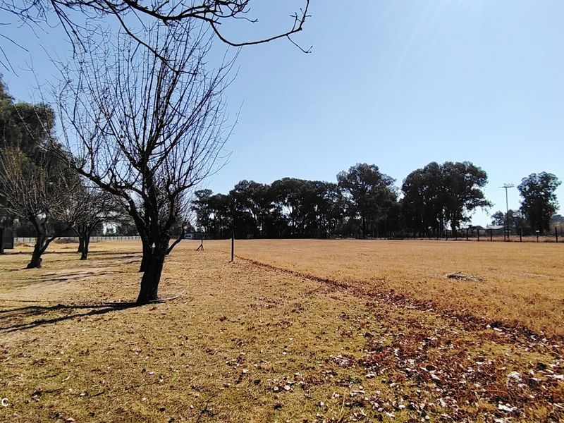 A wide-angle view of a large, open farm field with mature trees and perimeter fencing under a clear blue sky.