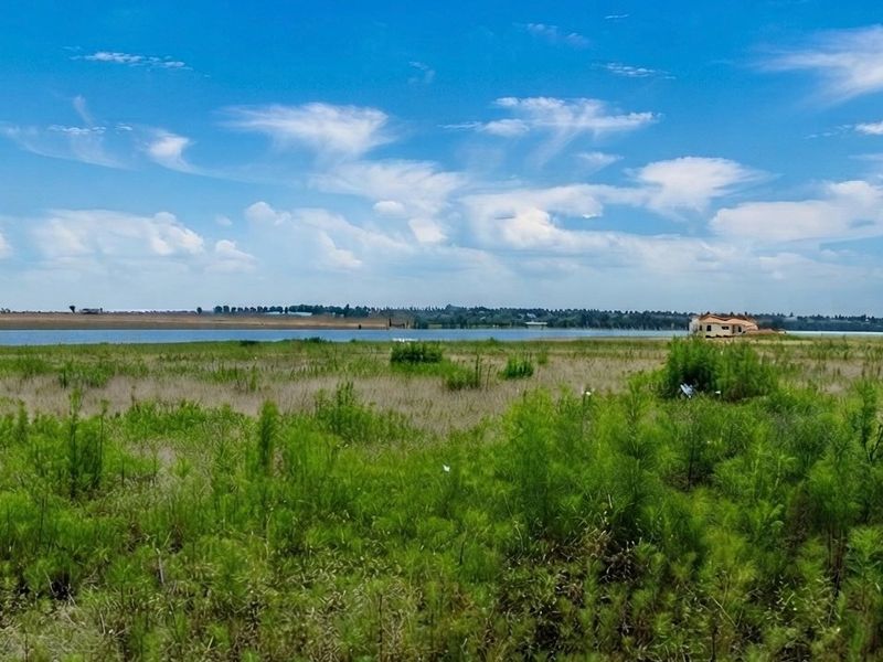 A scenic view of a vacant residential plot featuring natural vegetation and direct waterfront access.
