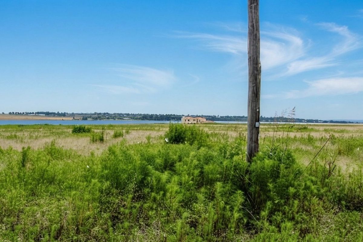 A wide-angle view of vacant residential land featuring natural vegetation and a utility pole, with a distant water view.