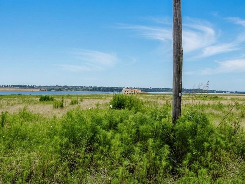 A wide-angle view of vacant residential land featuring natural vegetation and a utility pole, with a distant water view.