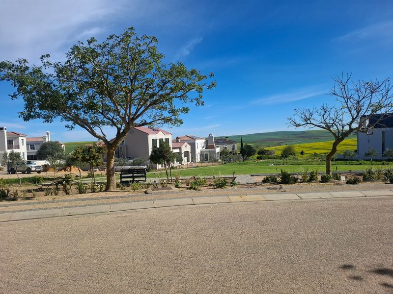 A street-level view of a residential area featuring a paved road, landscaped verge with mature trees, and surrounding residential properties.