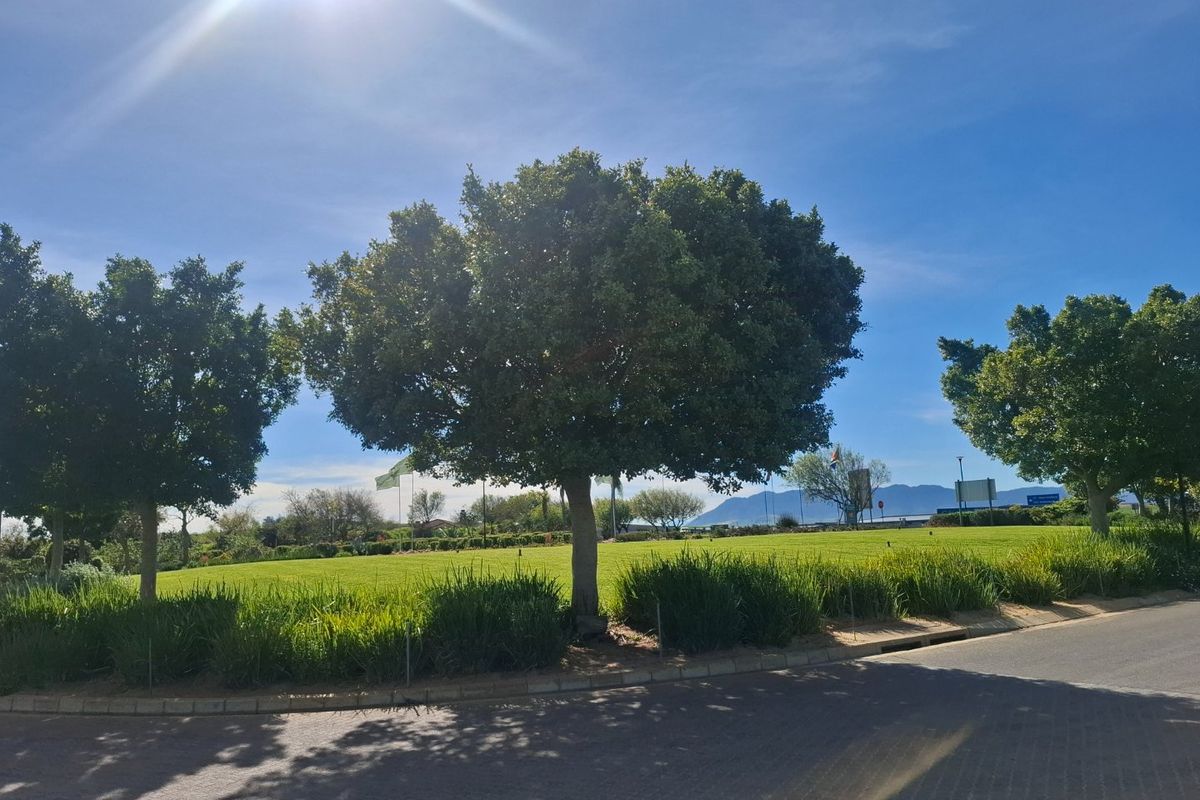 A view of a well-maintained vacant residential plot featuring mature trees, manicured grass, and paved street access.