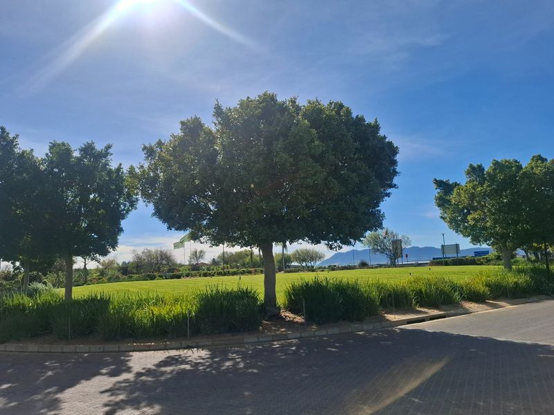 A view of a well-maintained vacant residential plot featuring mature trees, manicured grass, and paved street access.