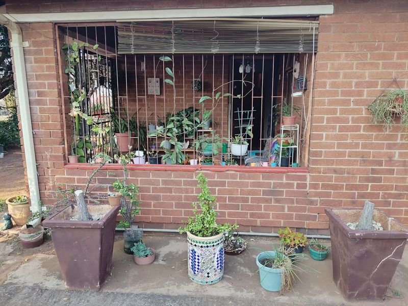 A rear exterior view of a brick house featuring a window protected by security bars and a concrete patio area.