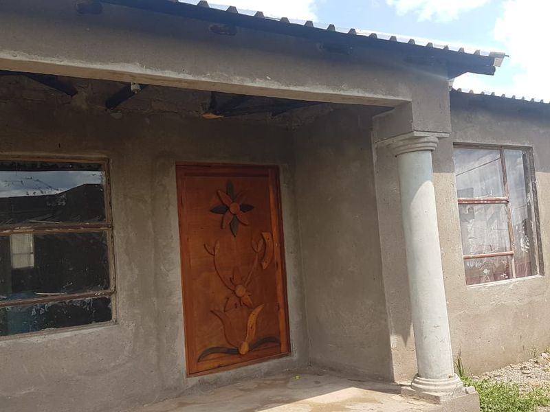 Front elevation of a house featuring an unpainted cement plaster finish, a decorative carved wooden door, and metal window frames under a corrugated roof.