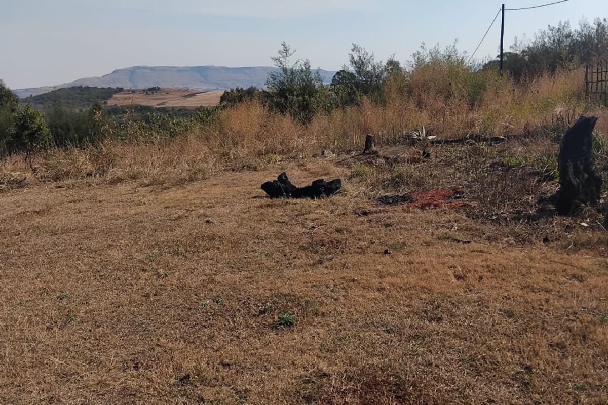 A view of the vacant residential land featuring natural landscape and distant mountain scenery.