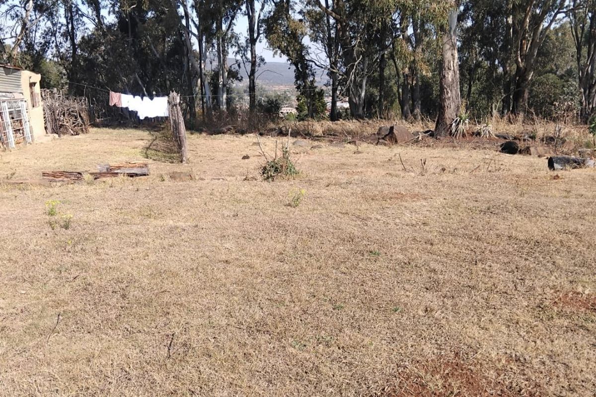 A spacious, undeveloped residential plot featuring mature trees and natural grass, offering a blank canvas for future landscaping or construction.
