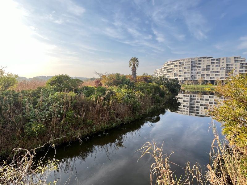 A scenic view overlooking a tranquil waterway with lush natural vegetation and a modern commercial building in the background.