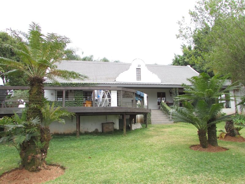 Rear view of the house featuring a raised timber deck, concrete stairs, and a well-maintained garden with mature cycad plants.