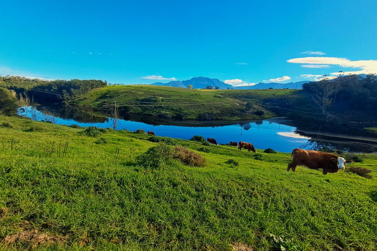 Scenic view of a farm dam surrounded by lush green pastures and distant mountain ranges.