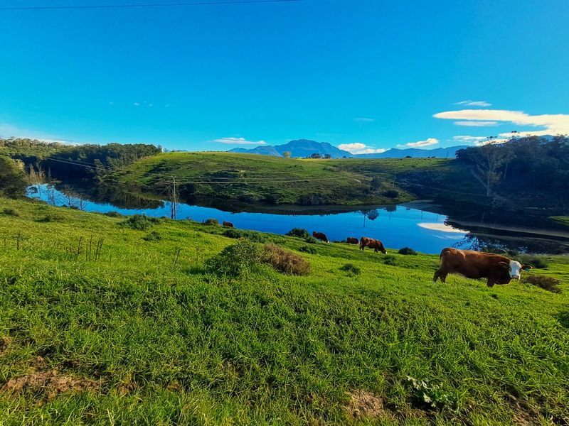 Scenic view of a farm dam surrounded by lush green pastures and distant mountain ranges.