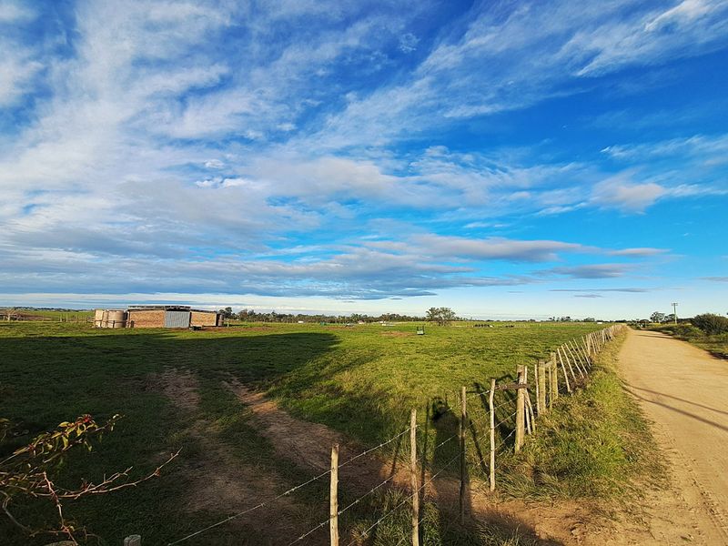 Expansive rural landscape view featuring a dirt access road, perimeter fencing, and agricultural outbuildings under a clear blue sky.