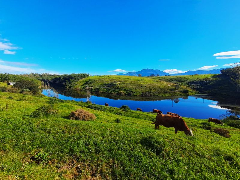 Scenic view of a farm dam surrounded by lush green grazing pastures and distant mountain ranges.
